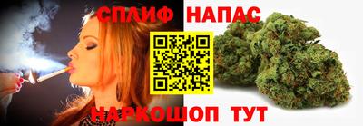 молекула духа Кингисепп