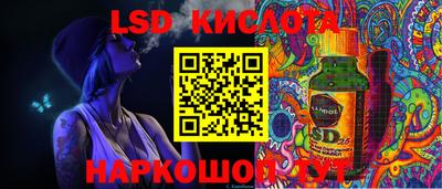 молекула духа Кингисепп