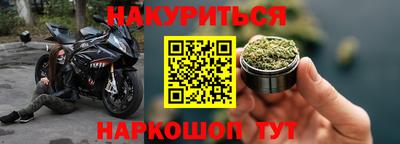 молекула духа Кингисепп