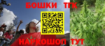 молекула духа Кингисепп