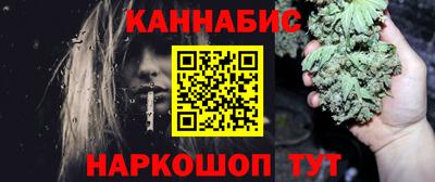 молекула духа Кингисепп