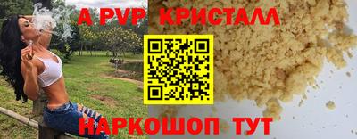 молекула духа Кингисепп