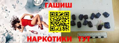 молекула духа Кингисепп