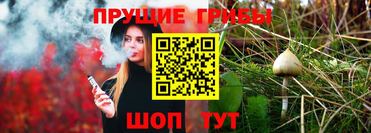 Псилоцибиновые грибы ЛСД Заводоуковск